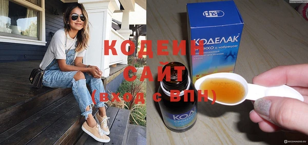 хмурый Каменка